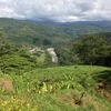  - Beyond Compare 100 Acre Development Property near Dominical