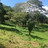  - Beyond Compare 100 Acre Development Property near Dominical