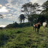  - Beyond Compare 100 Acre Development Property near Dominical