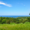  - Spectacular Oceanview Lot in Gated Community near Surf