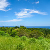  - Spectacular Oceanview Lot in Gated Community near Surf