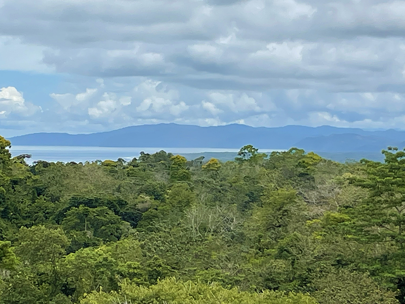 Luxury Homes For Sale Pavones Costa Rica Real Estate Condos