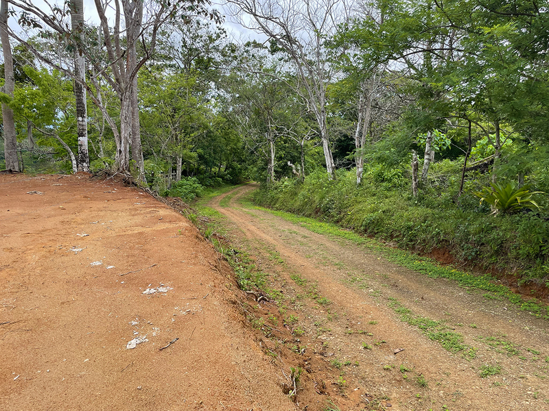 0 bed Land For Sale in Pavones, Puntarenas - 1