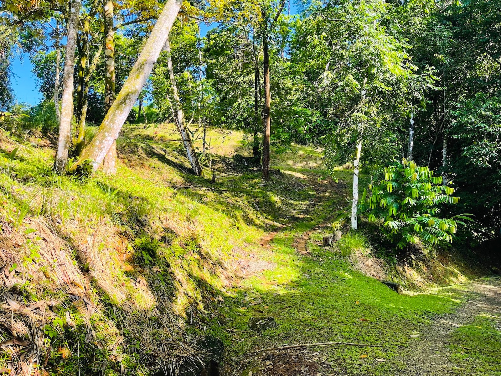 0 bed Land For Sale in Uvita, Puntarenas - thumb 18