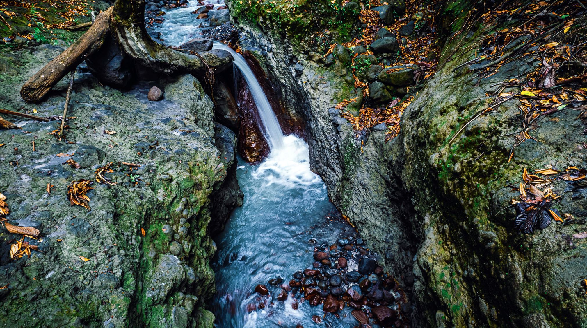 0 bed Land For Sale in Alajuela, Alajuela - thumb 1