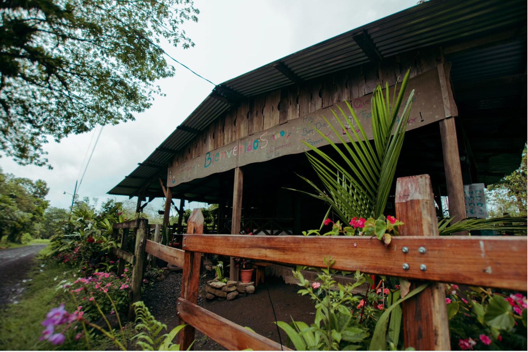 0 bed Land For Sale in Alajuela, Alajuela - thumb 4