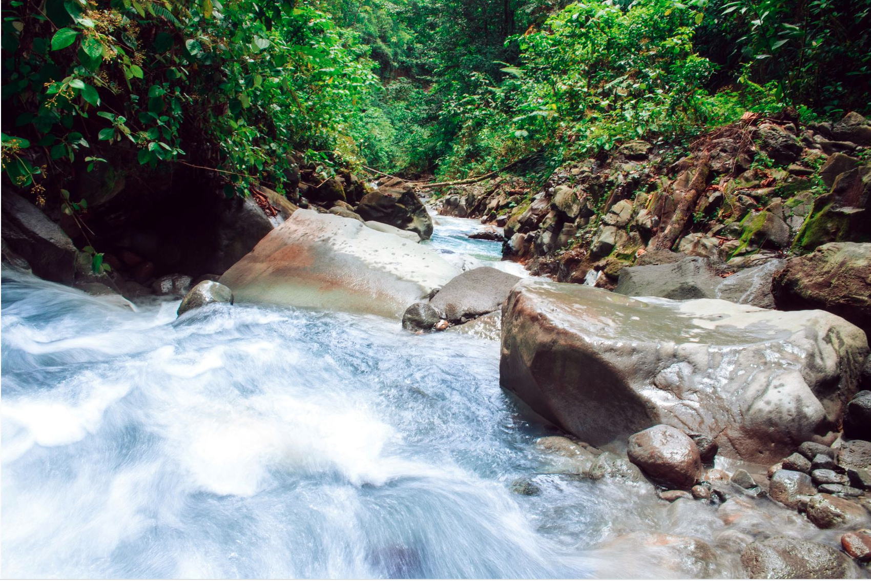 0 bed Land For Sale in Alajuela, Alajuela - thumb 2