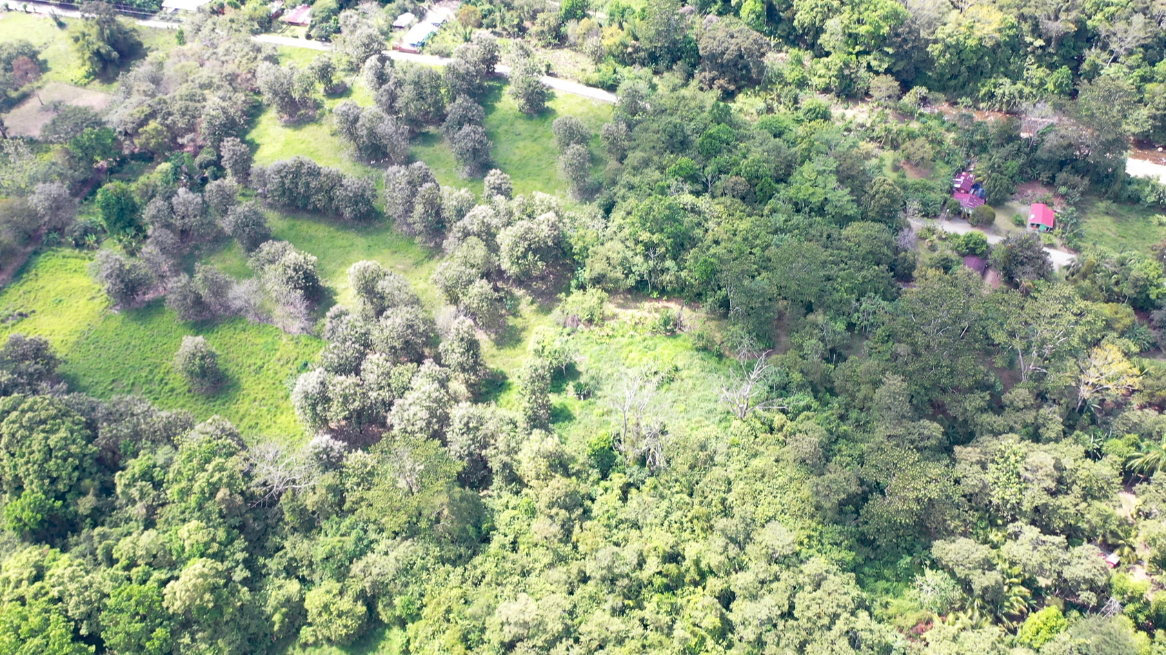 0 bed Land For Sale in Matapalo, Puntarenas - thumb 14