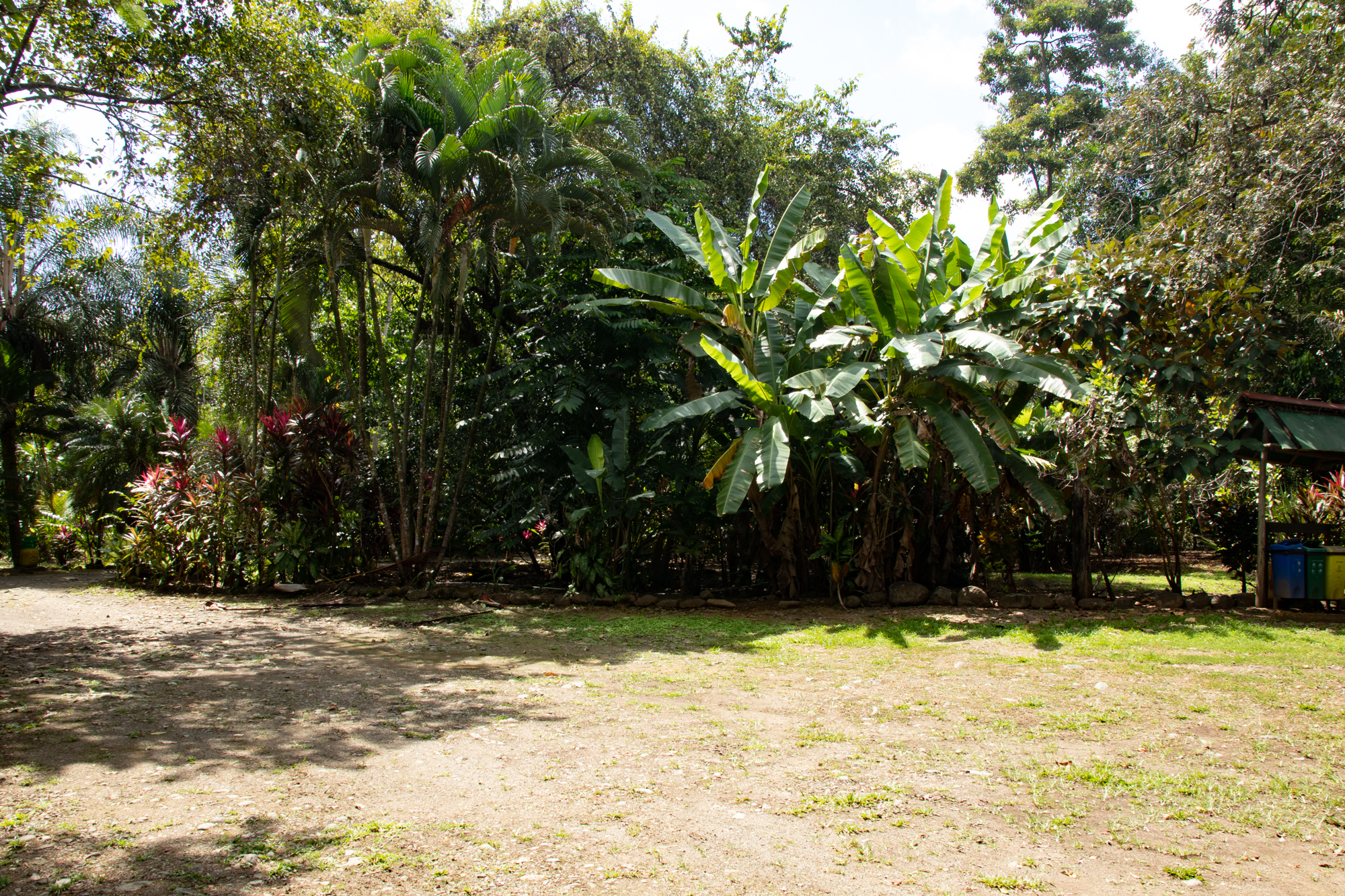 0 bed Land For Sale in Matapalo, Puntarenas - thumb 6