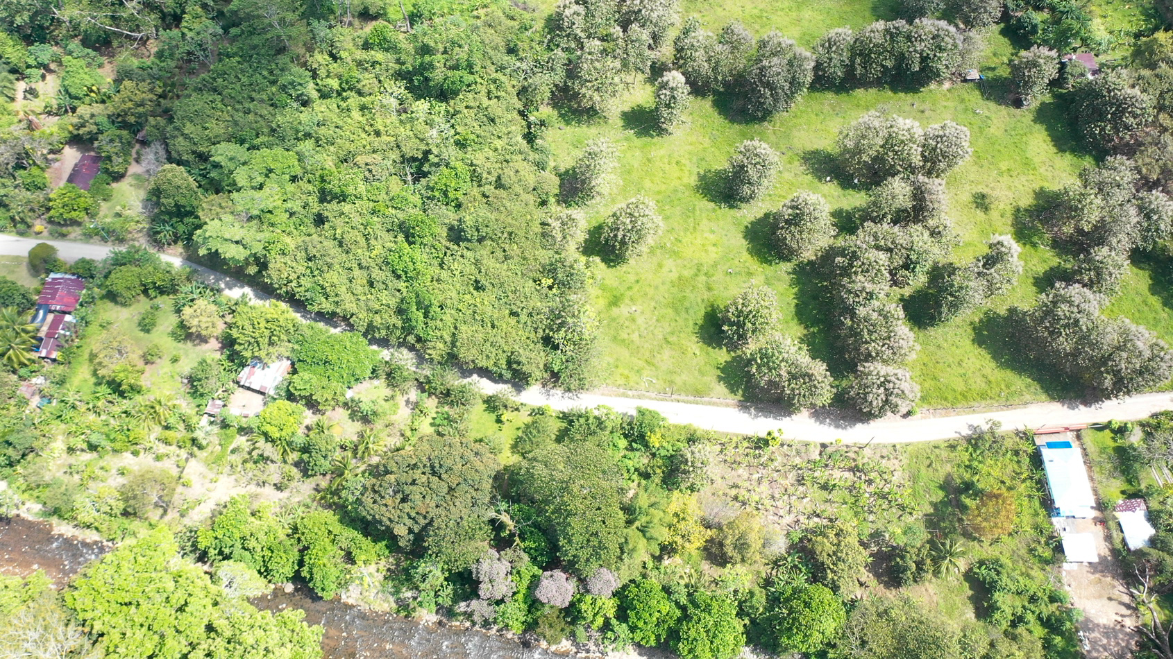 0 bed Land For Sale in Matapalo, Puntarenas - thumb 13