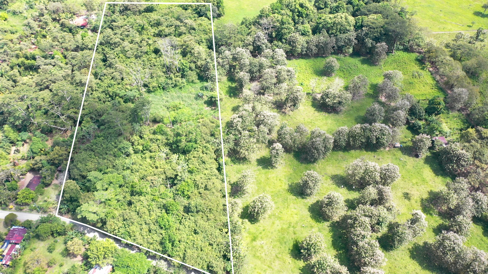 0 bed Land For Sale in Matapalo, Puntarenas - thumb 5