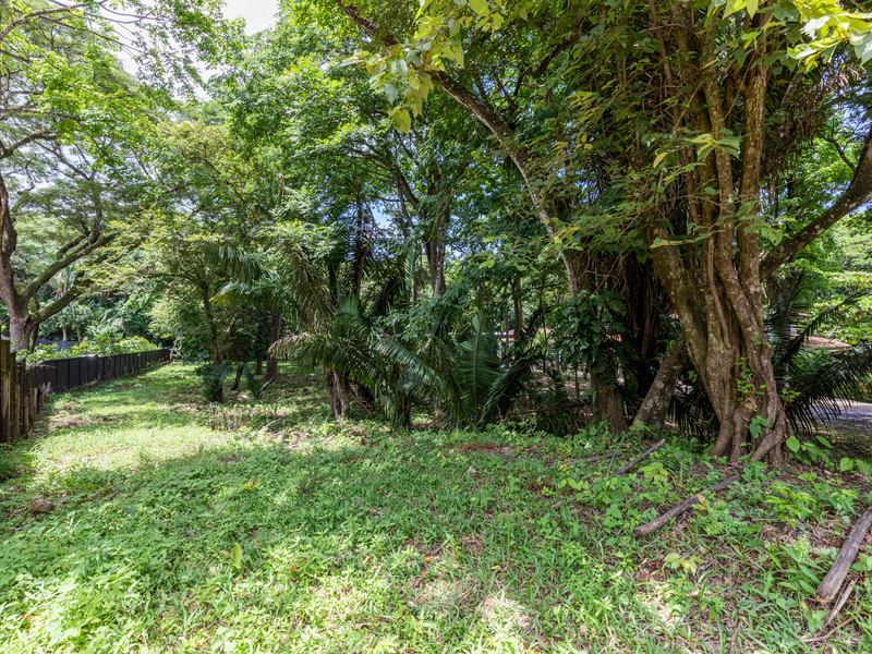 0 bed Land For Sale in Nosara, Guanacaste - 1