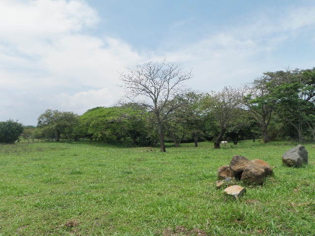 0 bed Land For Sale in Alajuela, Alajuela - thumb 1