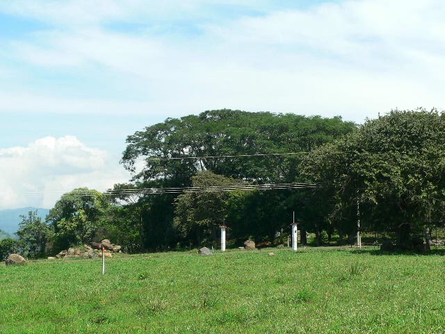 0 bed Land For Sale in Alajuela, Alajuela - thumb 7