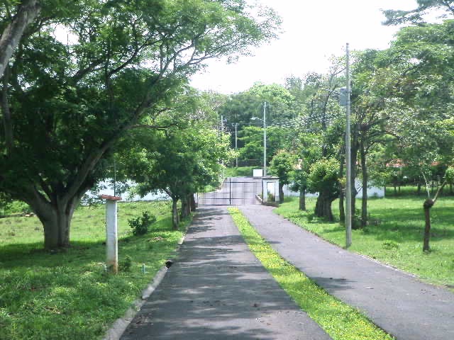 0 bed Land For Sale in Alajuela, Alajuela - thumb 3