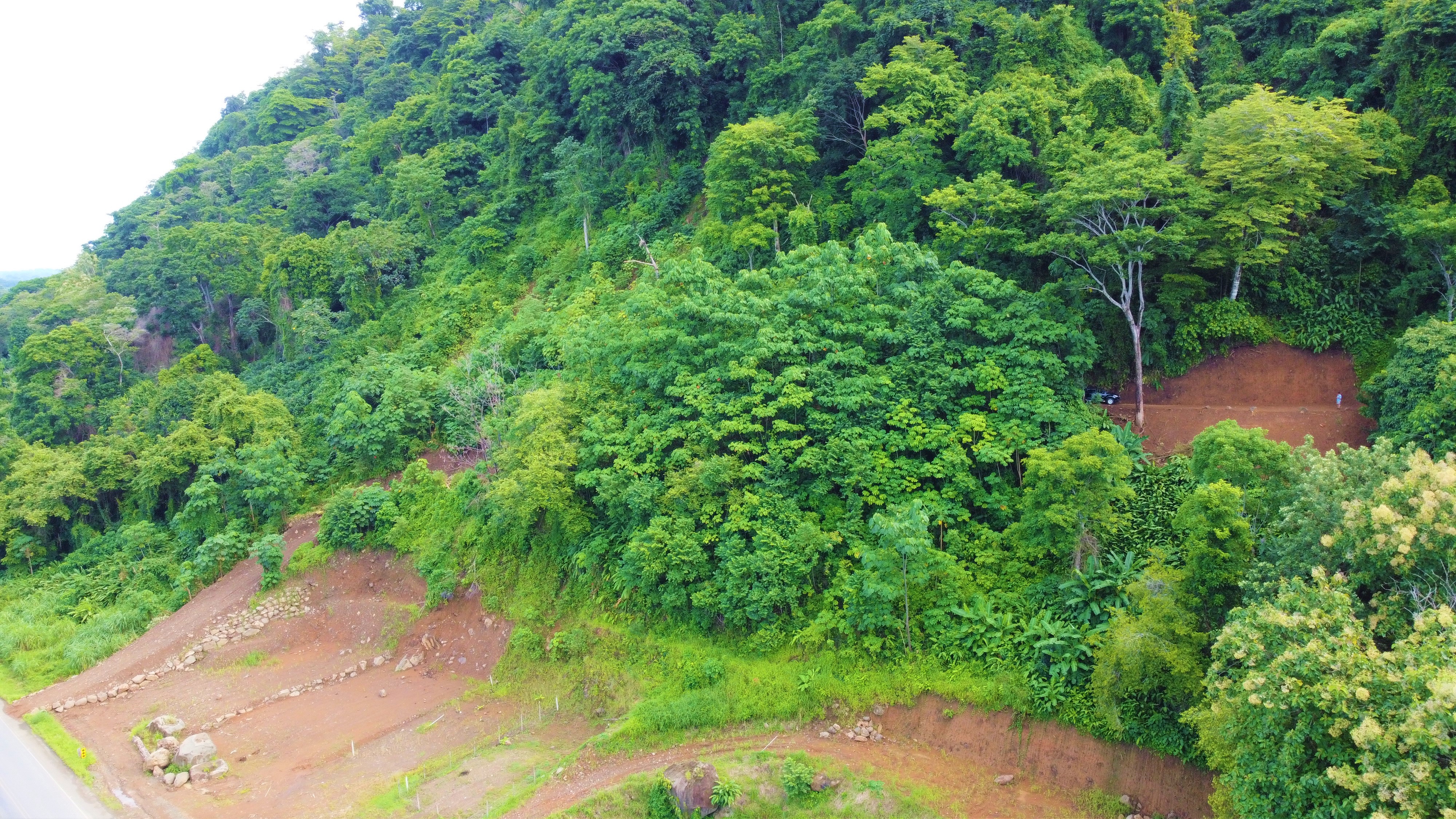 0 bed Land For Sale in Savegre, Puntarenas - thumb 20
