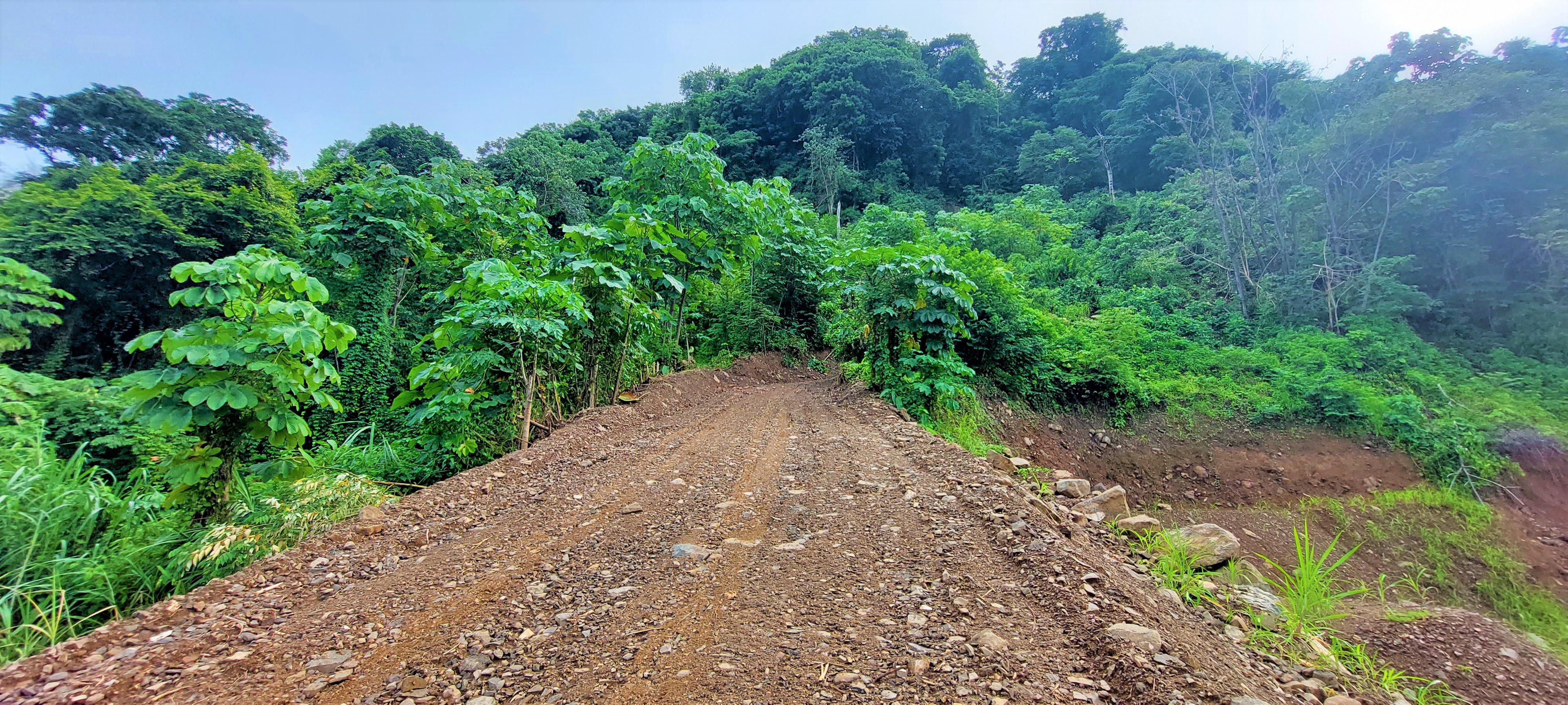 0 bed Land For Sale in Savegre, Puntarenas - thumb 16