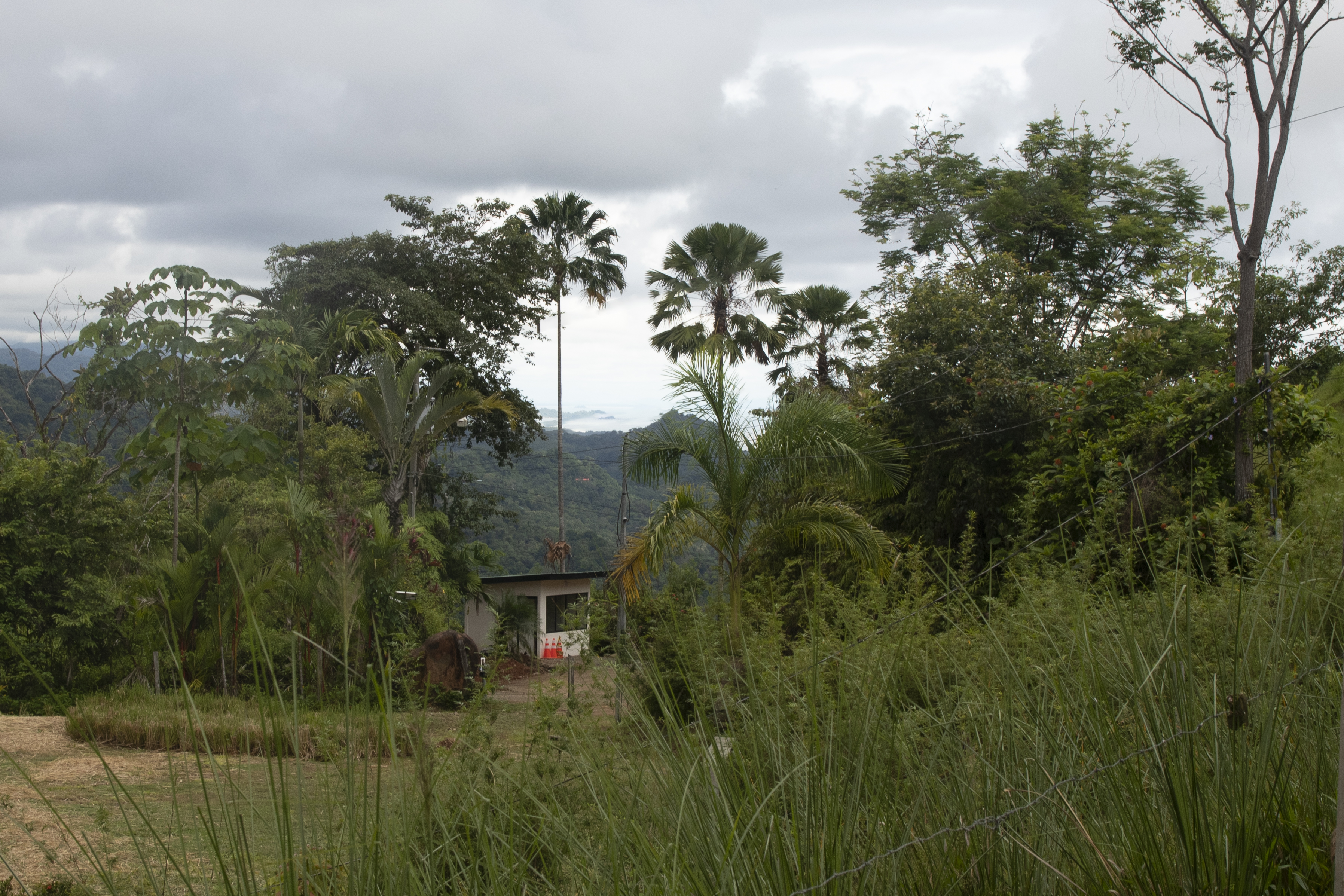 2 bed Single Family Homes For Sale in Savegre, Puntarenas - thumb 9