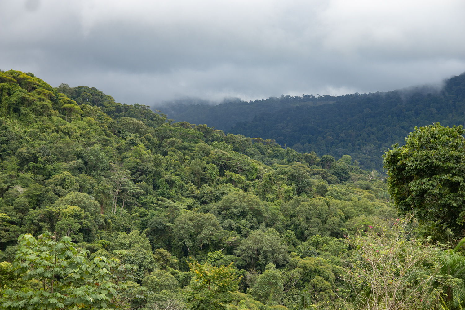 2 bed Single Family Homes For Sale in Savegre, Puntarenas - thumb 16