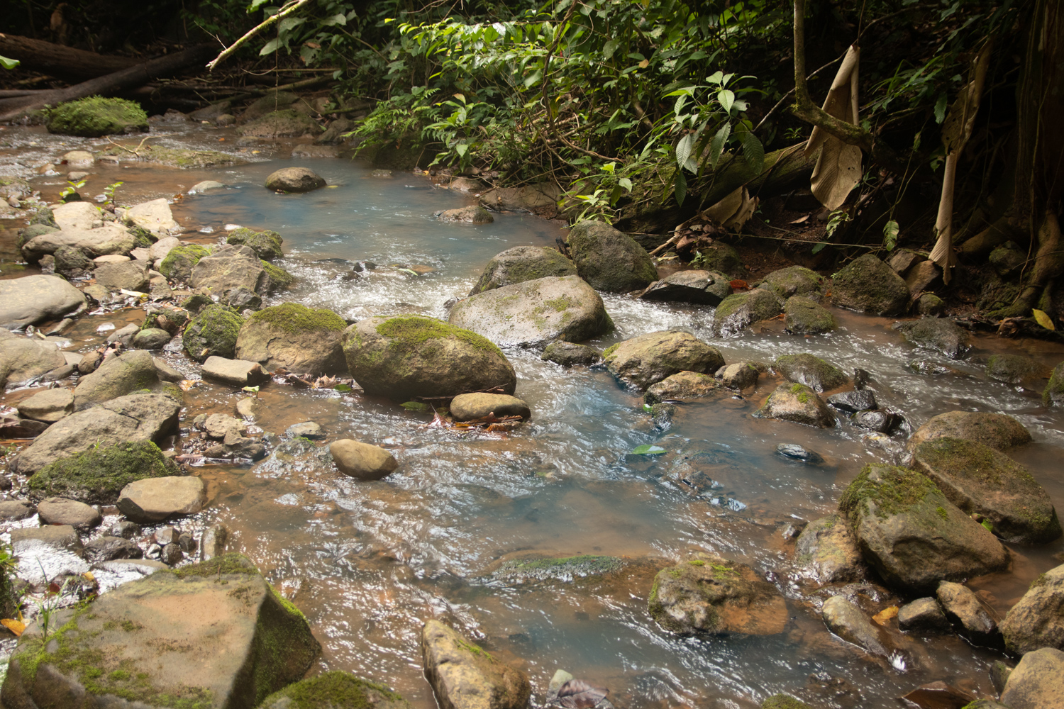 2 bed Single Family Homes For Sale in Savegre, Puntarenas - thumb 18