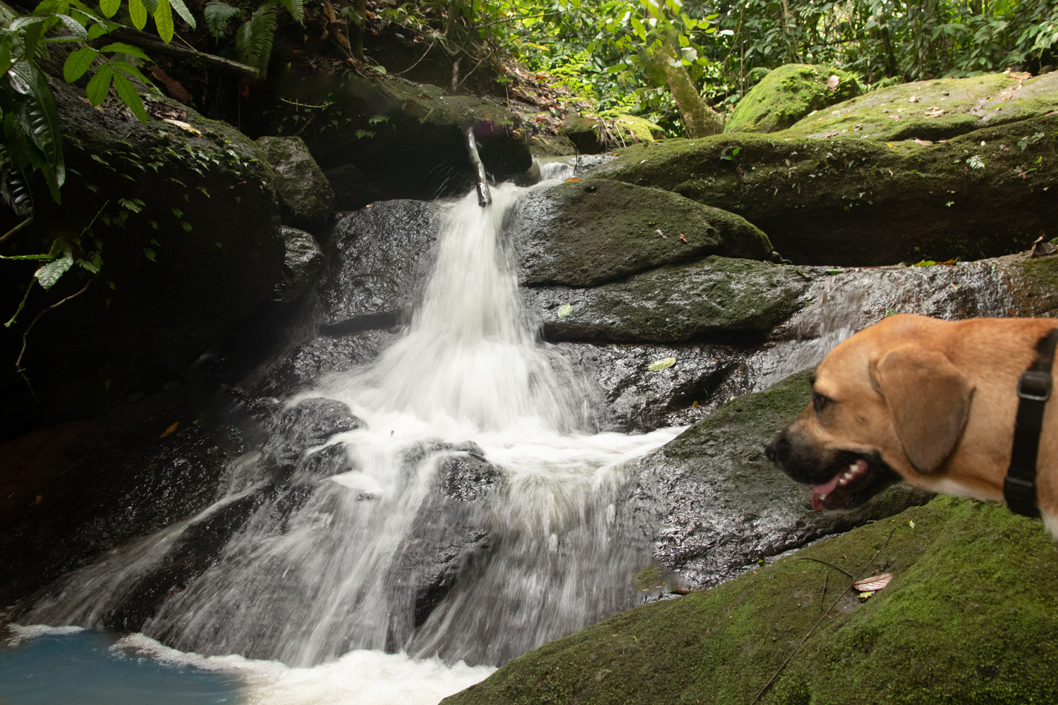 2 bed Single Family Homes For Sale in Savegre, Puntarenas - thumb 17