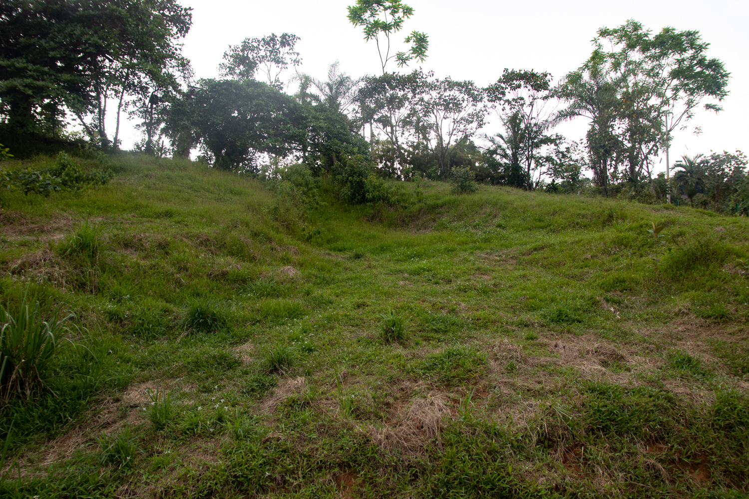 2 bed Single Family Homes For Sale in Savegre, Puntarenas - thumb 10