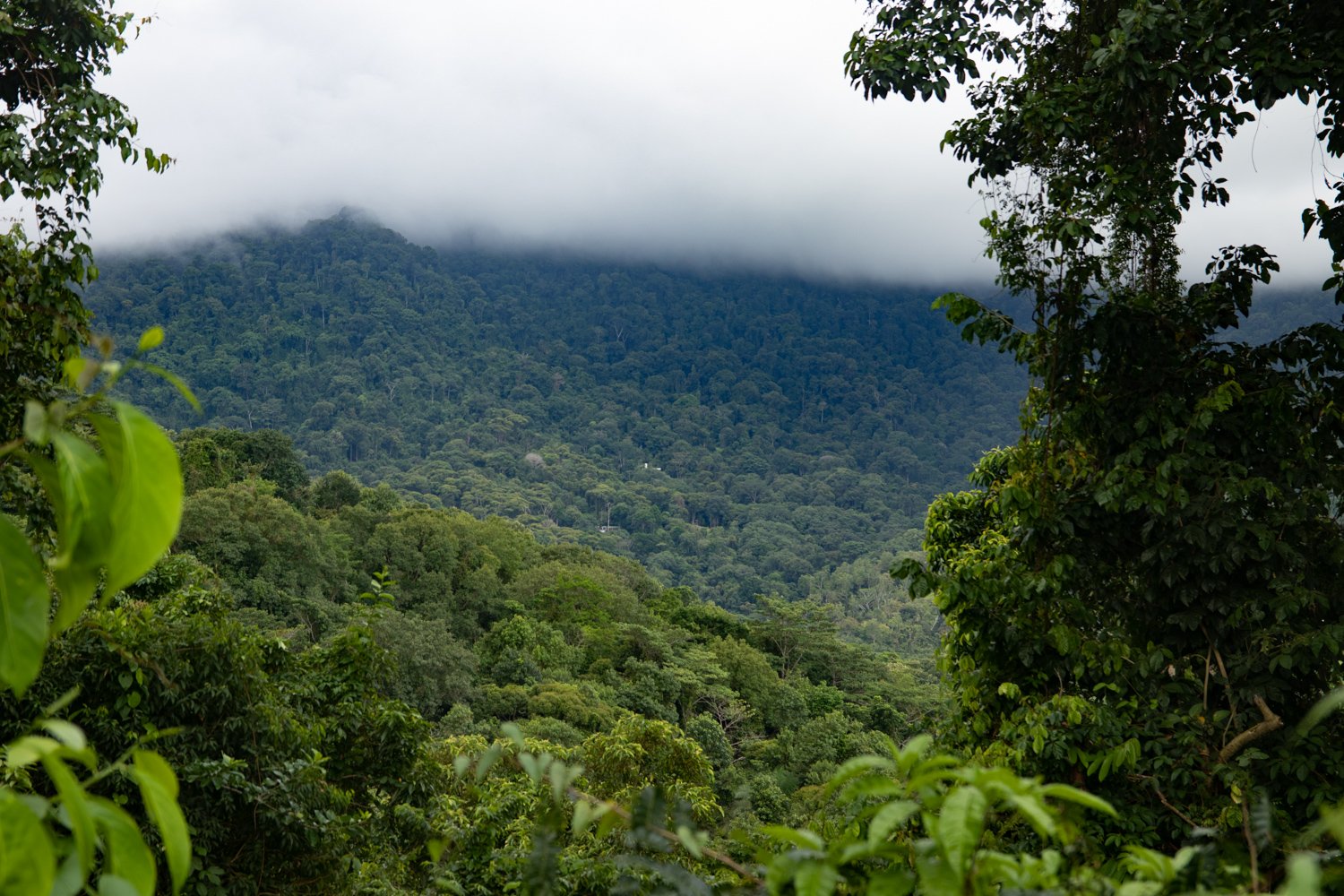 2 bed Single Family Homes For Sale in Savegre, Puntarenas - thumb 12