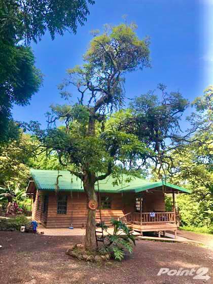 3 bed Single Family Homes For Sale in Alajuela, Alajuela - thumb 24