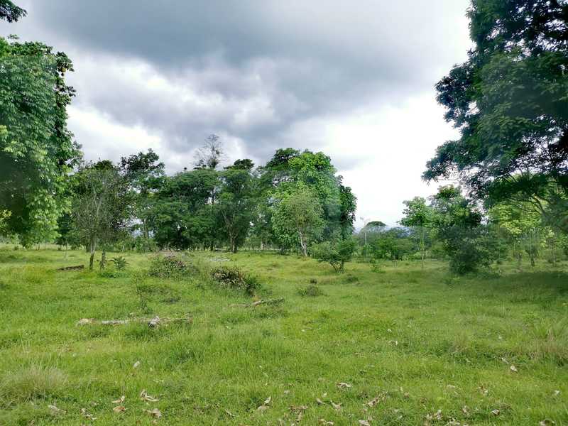 0 bed Land For Sale in Guapiles, Limón - 1