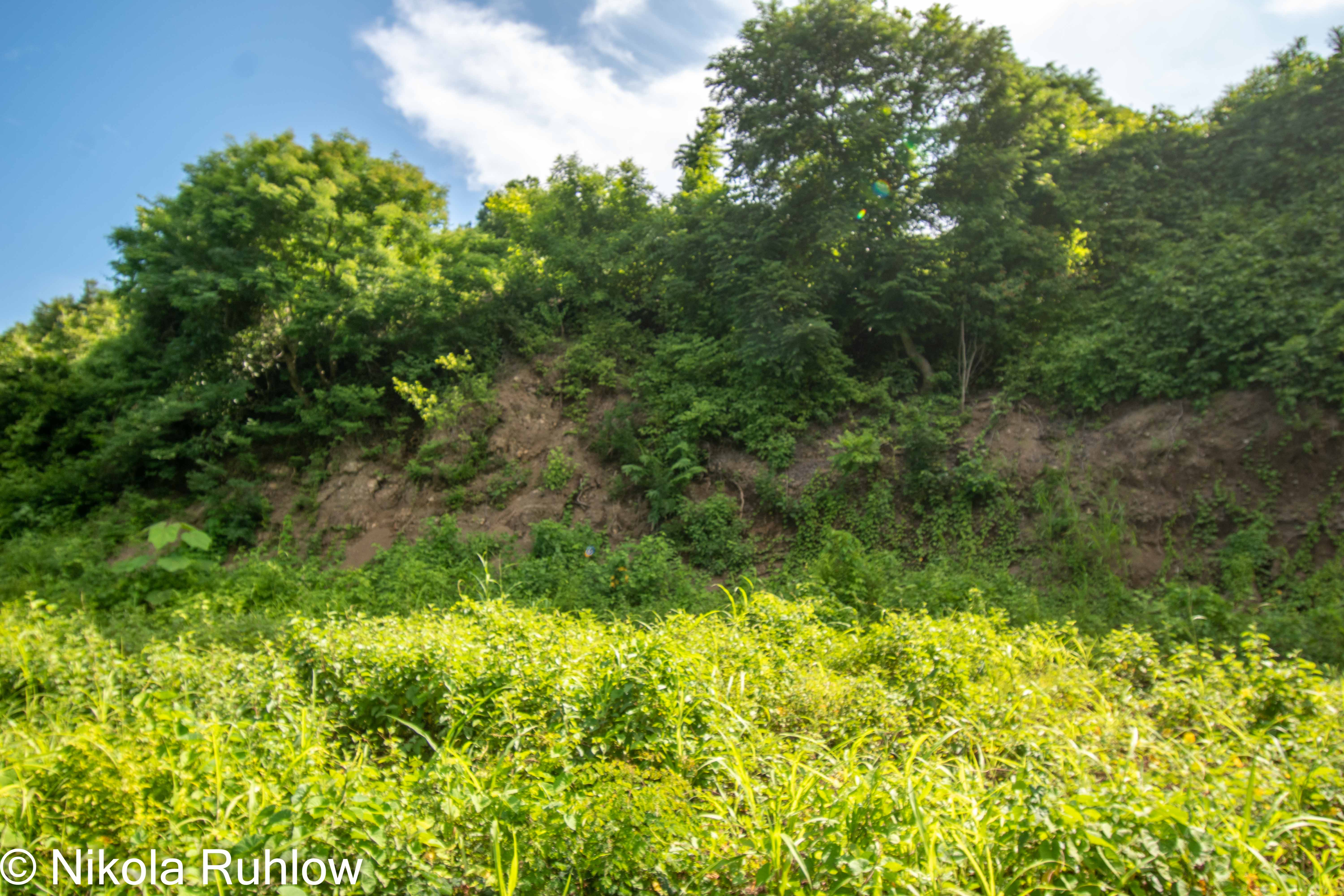 0 bed Land For Sale in Samara, Guanacaste - thumb 6