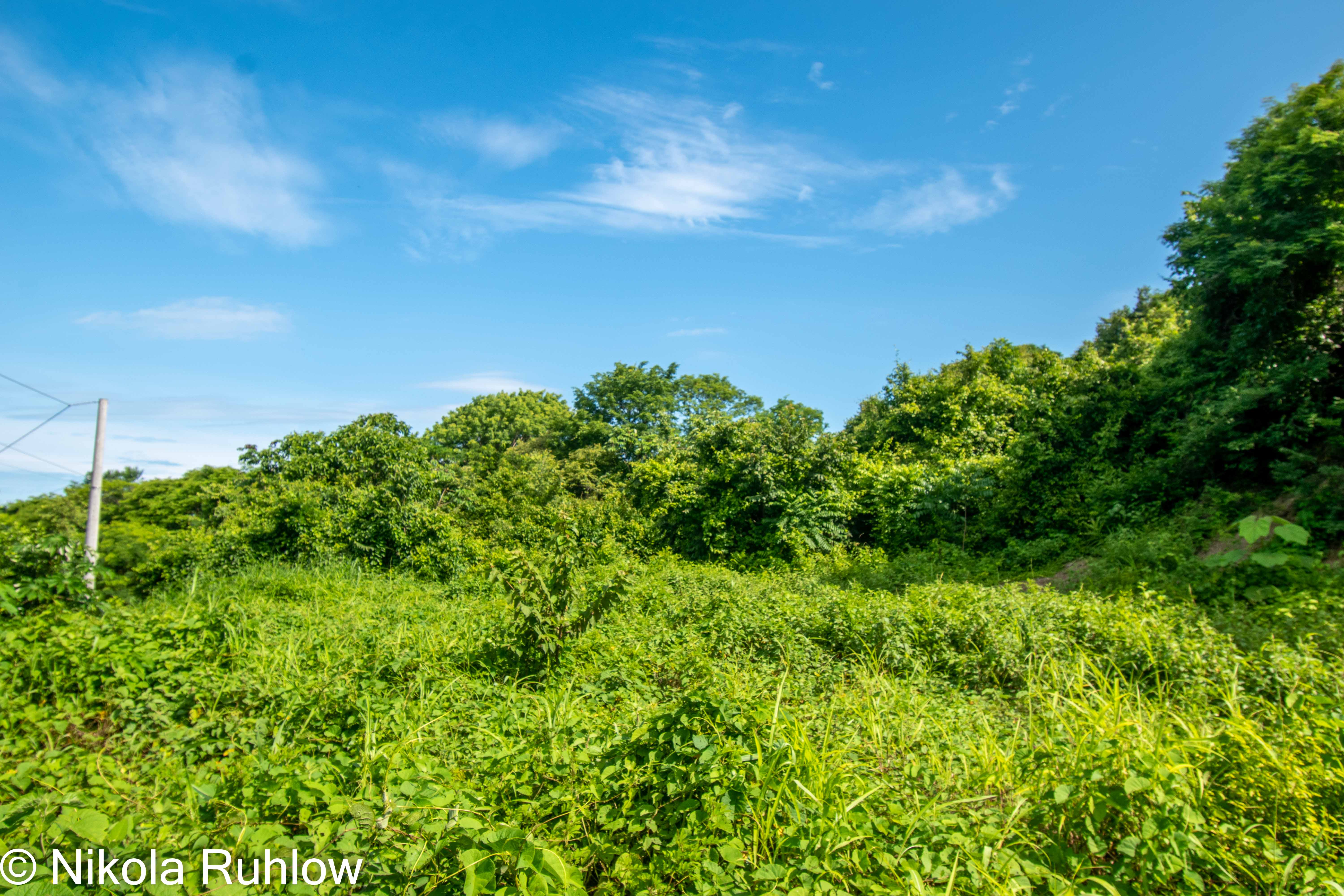 0 bed Land For Sale in Samara, Guanacaste - thumb 5