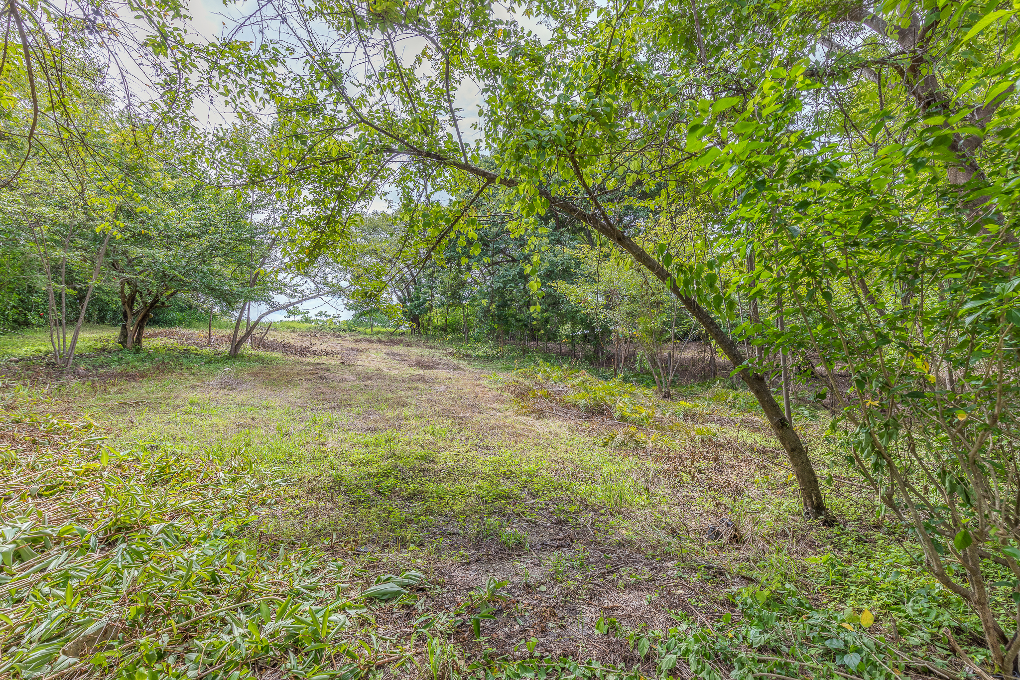 0 bed Land For Sale in Garza, Guanacaste - thumb 2