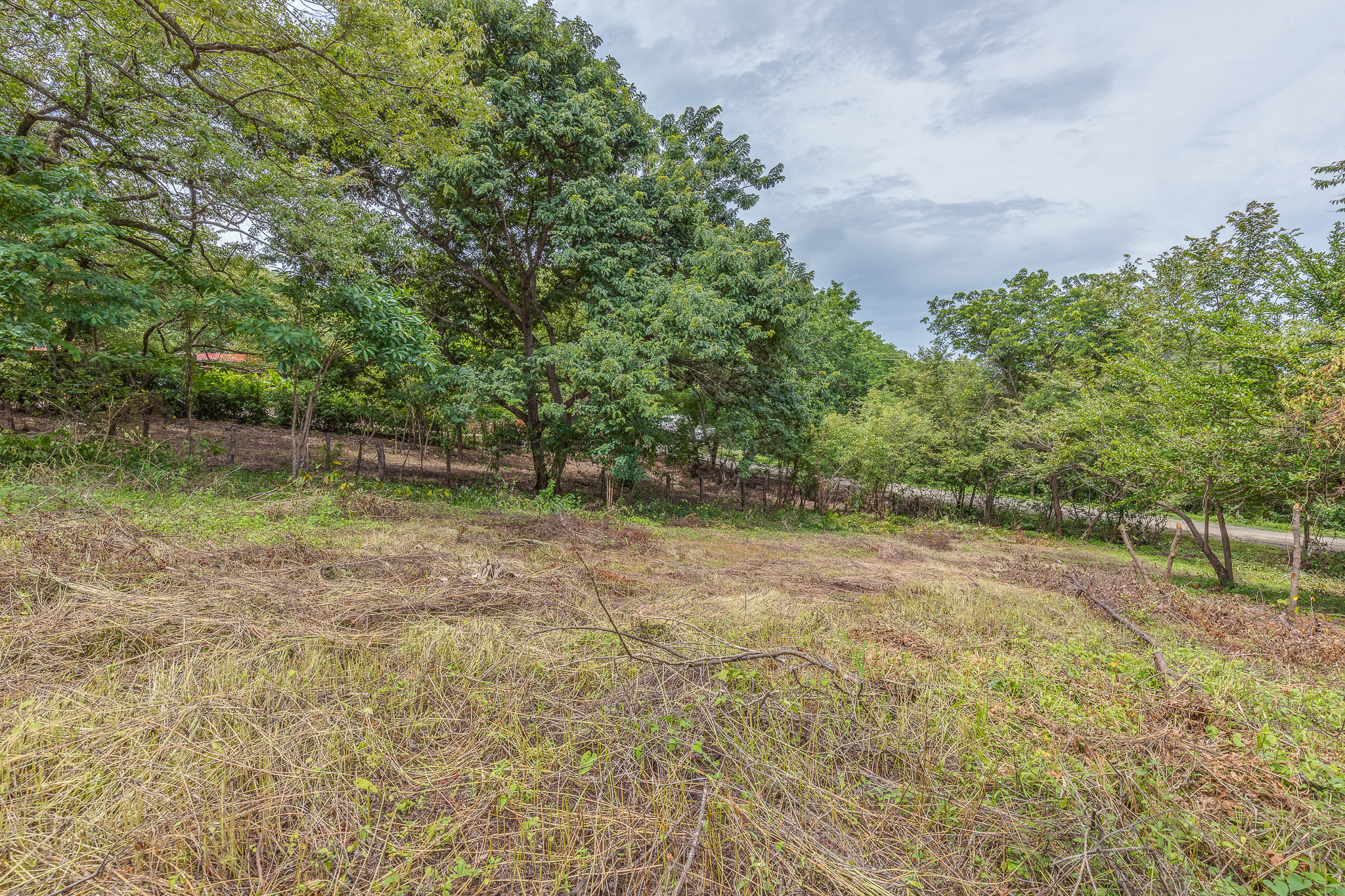 0 bed Land For Sale in Garza, Guanacaste - thumb 3