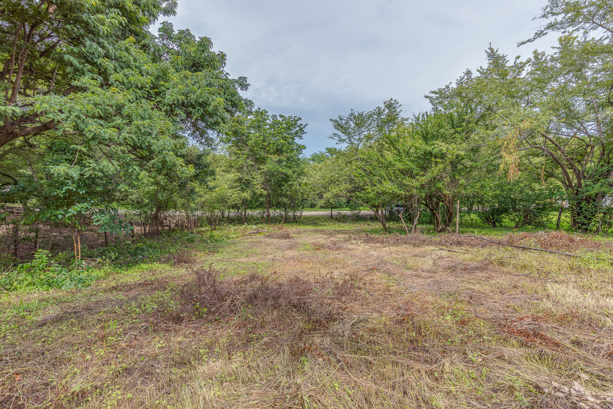 0 bed Land For Sale in Garza, Guanacaste - thumb 5