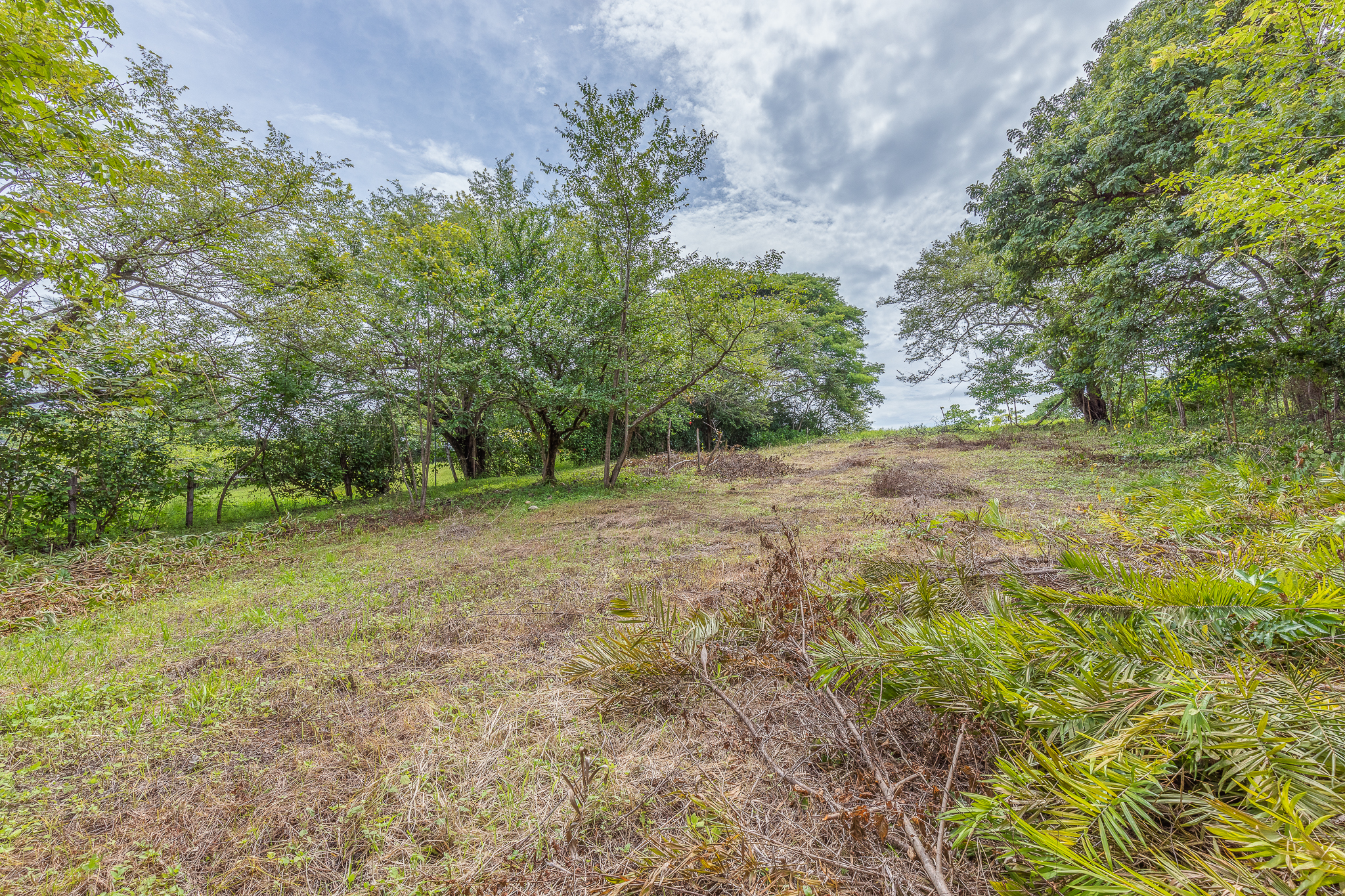 0 bed Land For Sale in Garza, Guanacaste - thumb 6