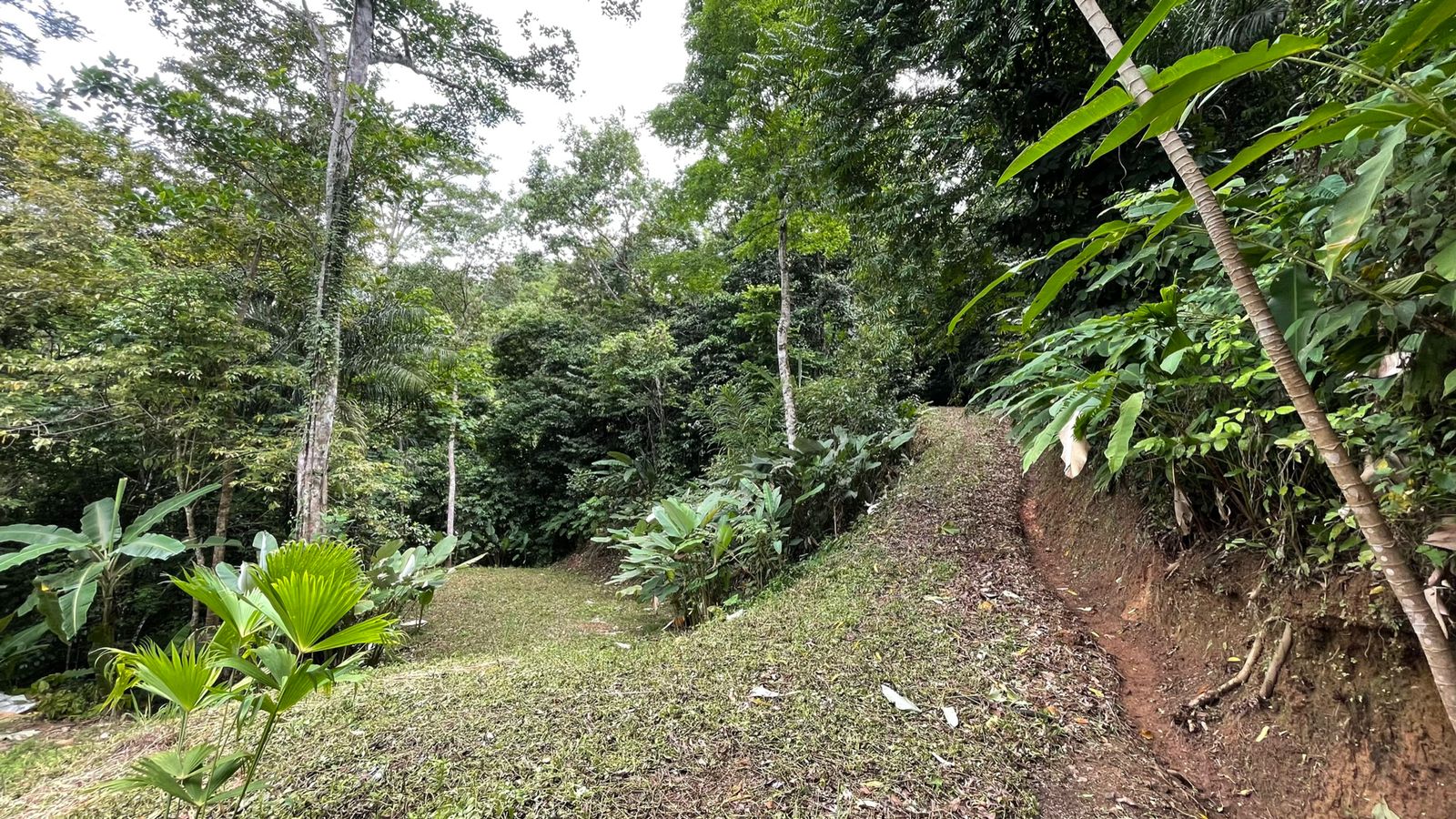 0 bed Land For Sale in Uvita, Puntarenas - thumb 6