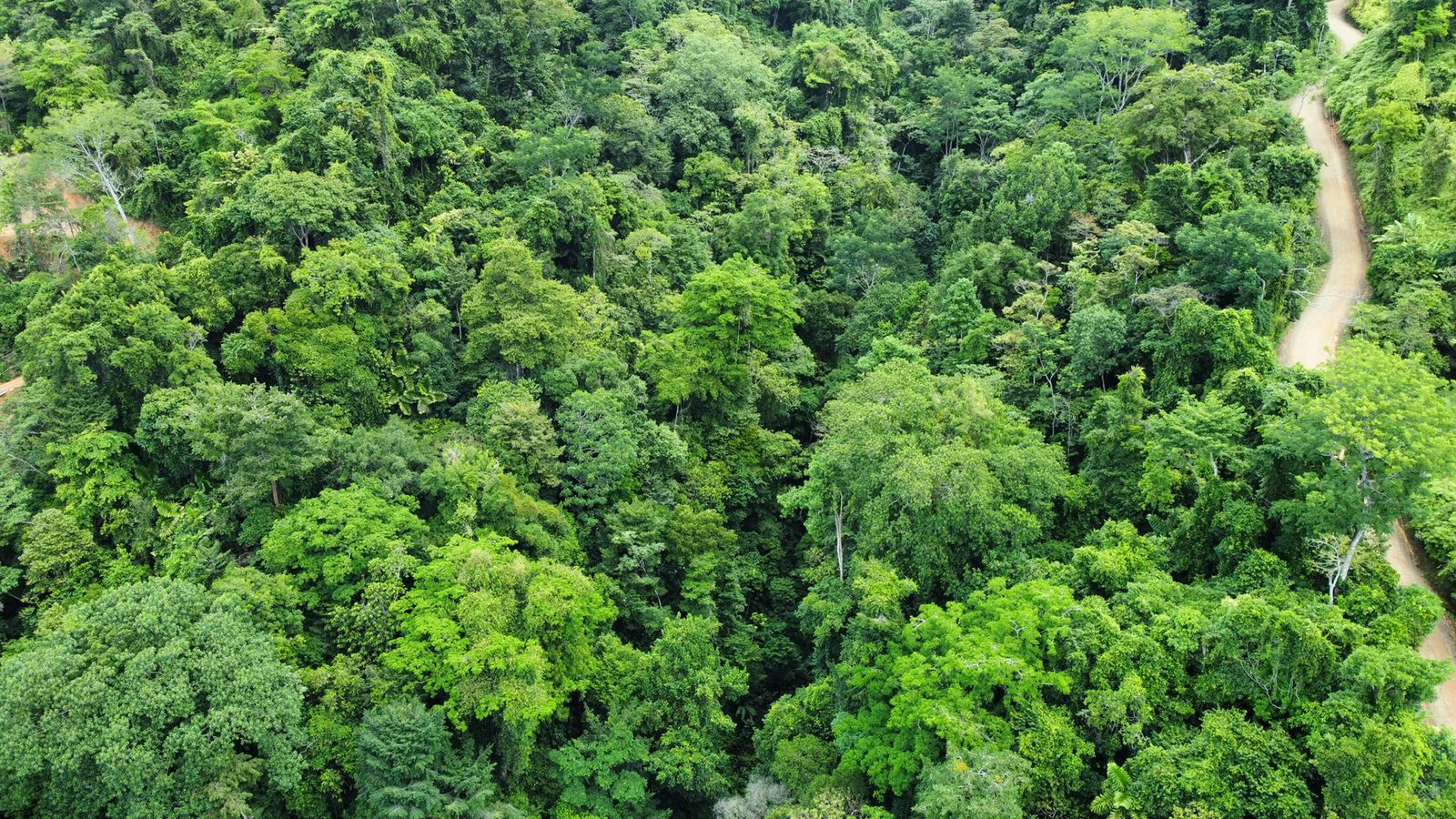 0 bed Land For Sale in Uvita, Puntarenas - thumb 3