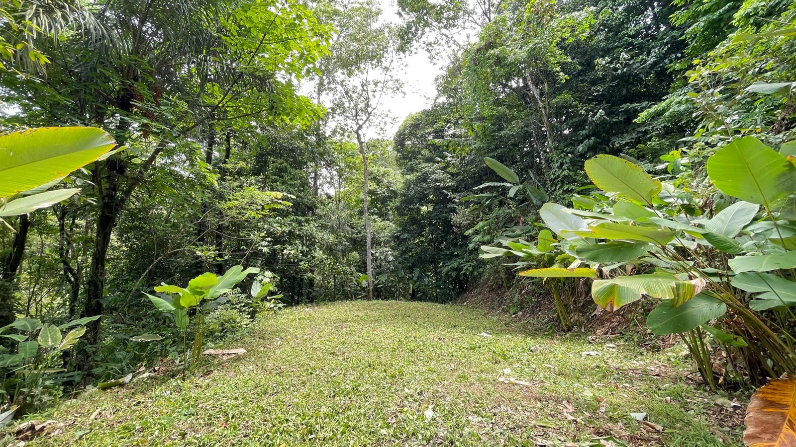 0 bed Land For Sale in Uvita, Puntarenas - thumb 10