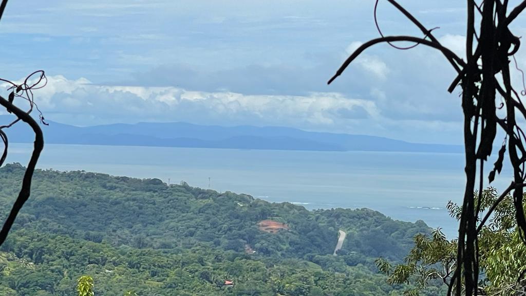 0 bed Land For Sale in Uvita, Puntarenas - thumb 22