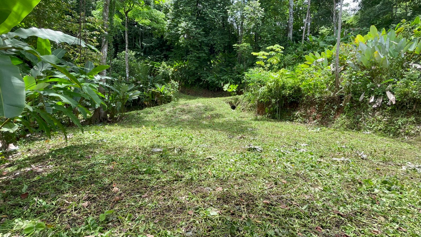 0 bed Land For Sale in Uvita, Puntarenas - thumb 12