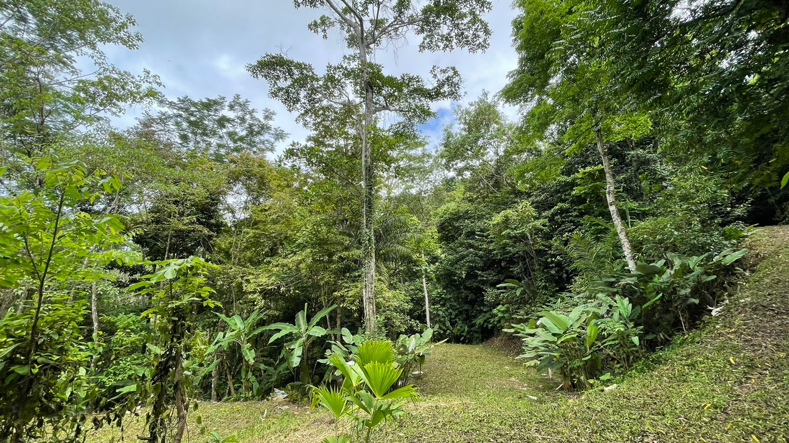 0 bed Land For Sale in Uvita, Puntarenas - thumb 7