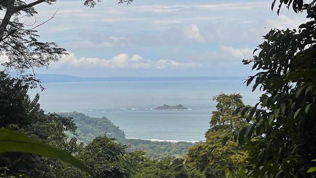 0 bed Land For Sale in Uvita, Puntarenas - thumb 21