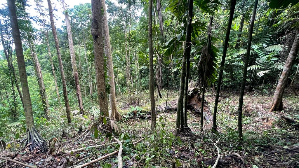 0 bed Land For Sale in Uvita, Puntarenas - thumb 14