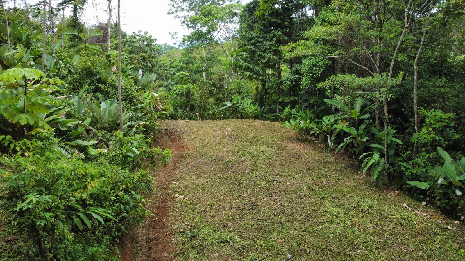 0 bed Land For Sale in Uvita, Puntarenas - thumb 8