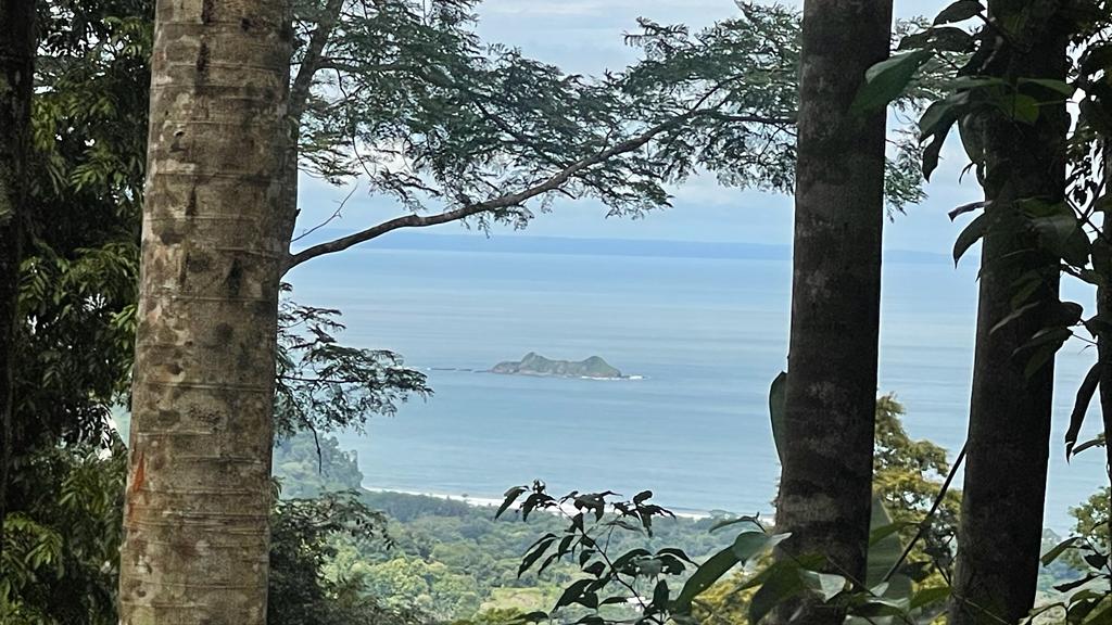 0 bed Land For Sale in Uvita, Puntarenas - thumb 20