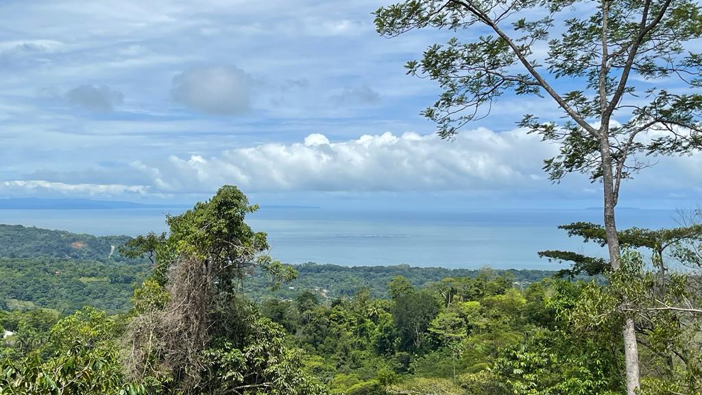 0 bed Land For Sale in Uvita, Puntarenas - thumb 1