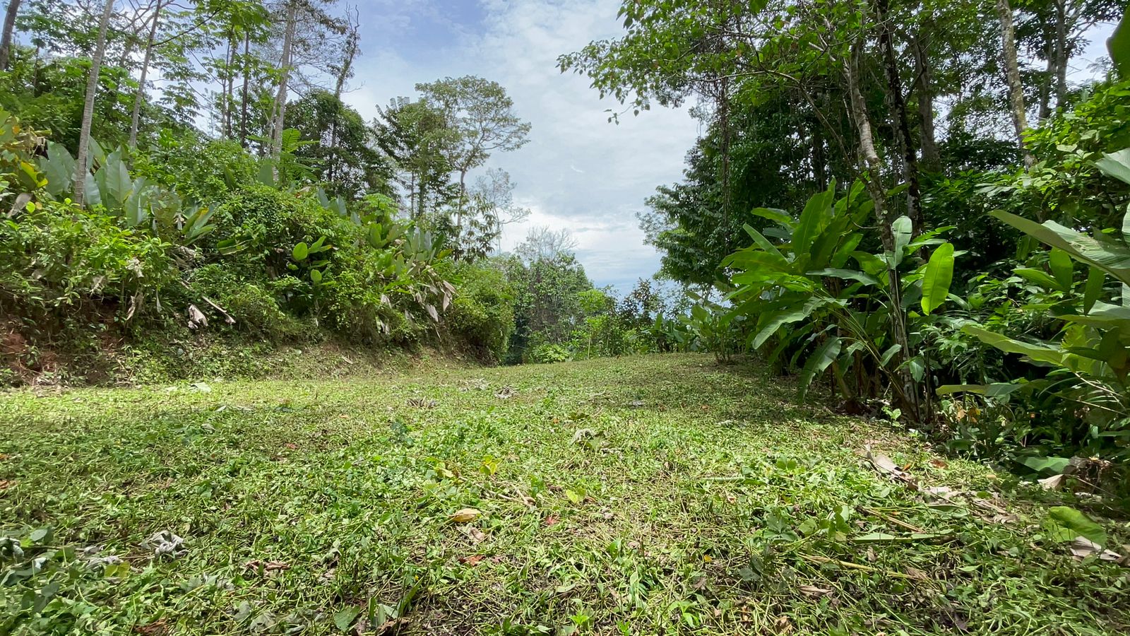 0 bed Land For Sale in Uvita, Puntarenas - thumb 11