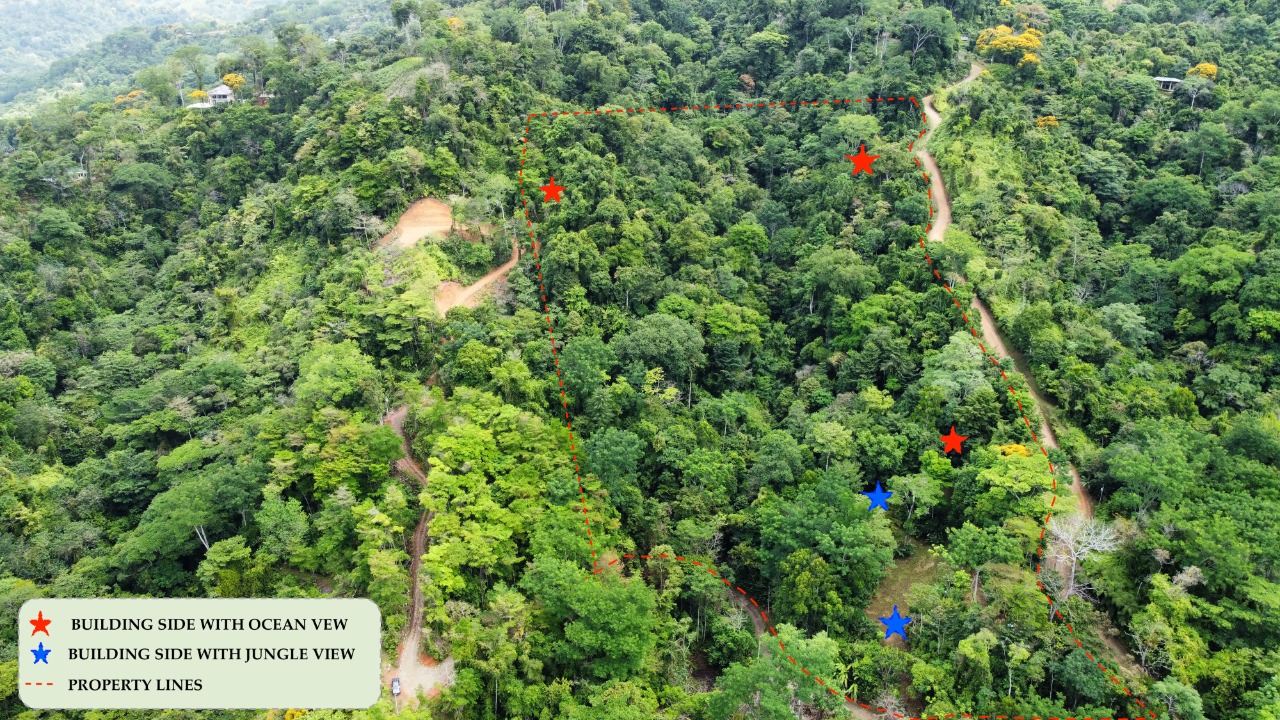 0 bed Land For Sale in Uvita, Puntarenas - thumb 4