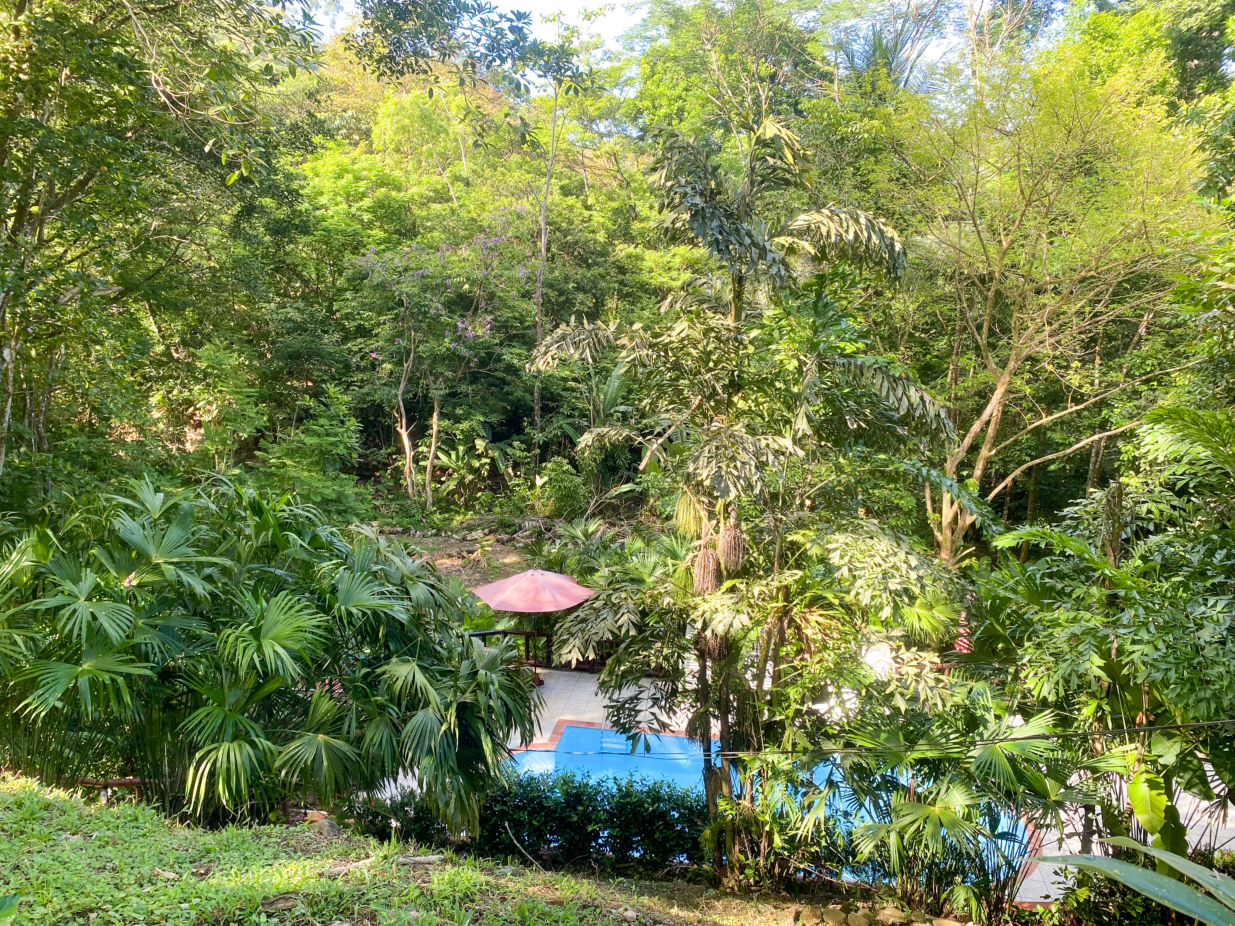 12 bed Hotel / Leisure For Sale in Uvita, Puntarenas - thumb 26