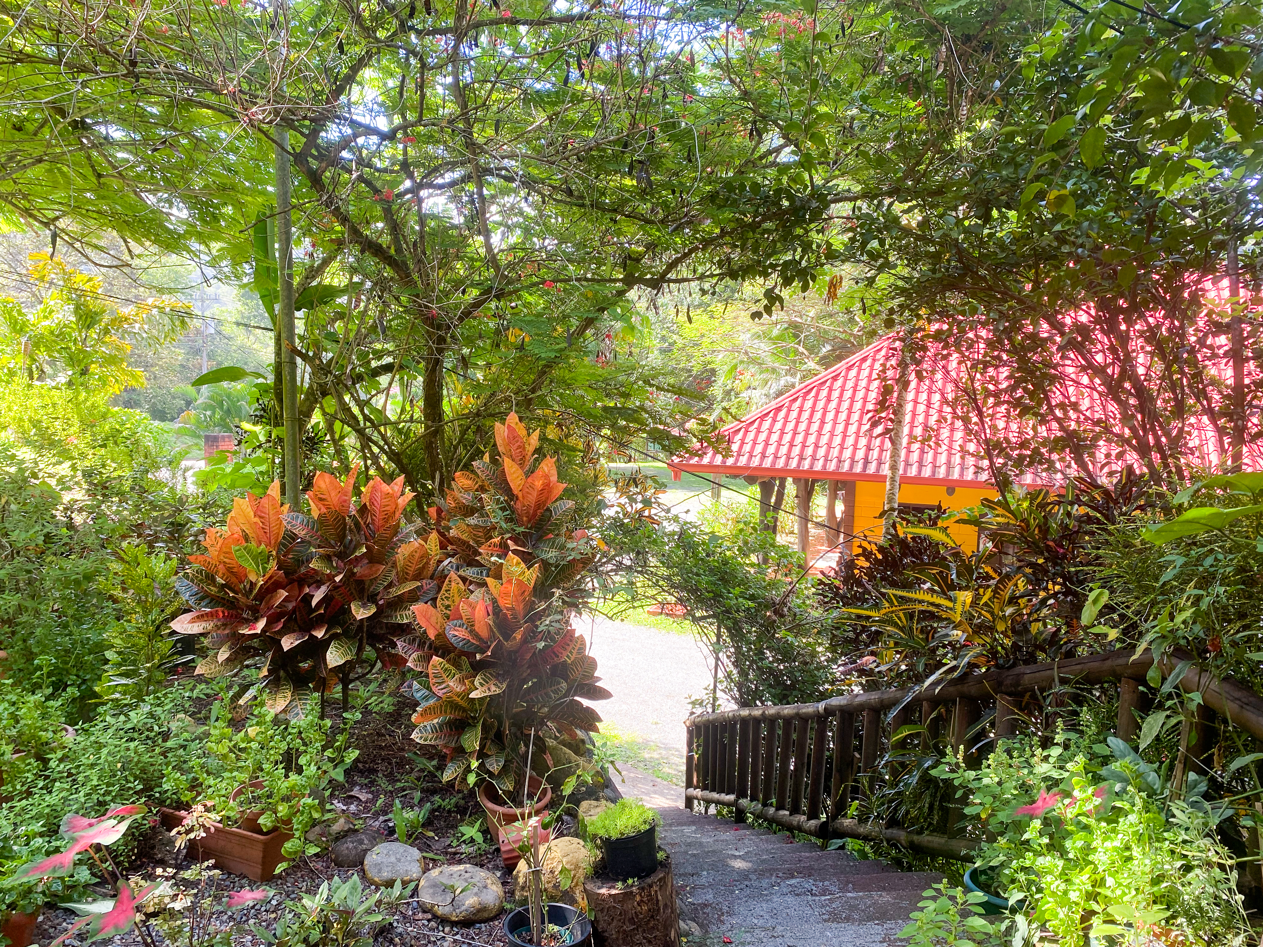 12 bed Hotel / Leisure For Sale in Uvita, Puntarenas - thumb 2